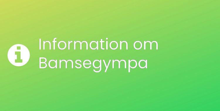 Bamsegympa Sektionsrubrikbild