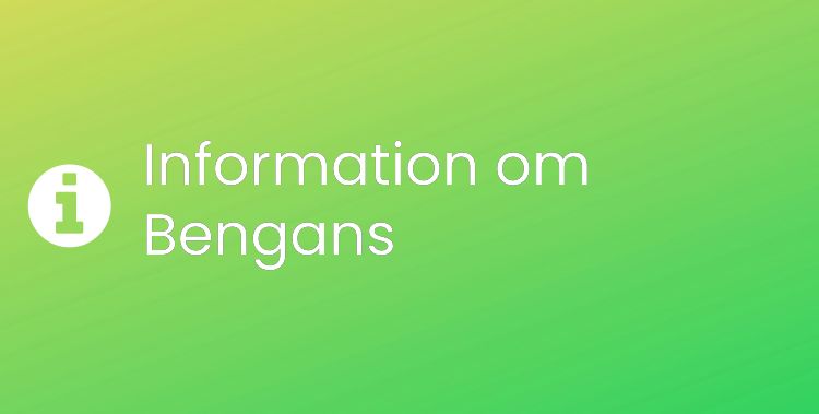 Bengans Sektionsrubrikbild