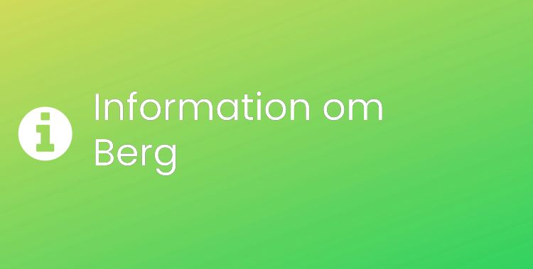 Berg Sektionsrubrikbild