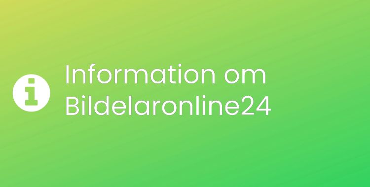 Bildelaronline24 Sektionsrubrikbild