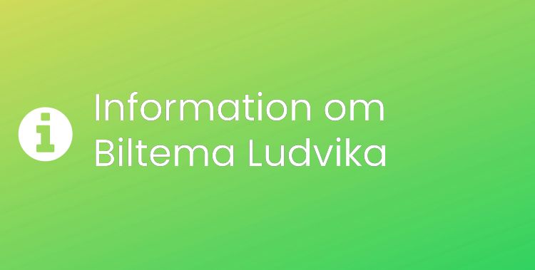 Biltema Ludvika Sektionsrubrikbild