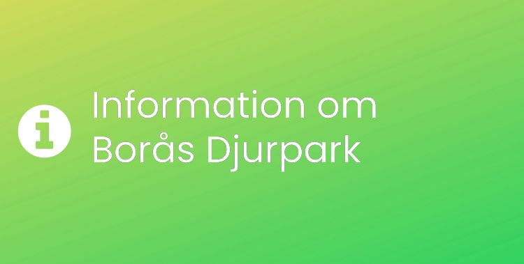 Borås Djurpark Sektionsrubrikbild