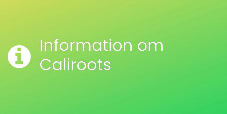Caliroots Sektionsrubrikbild