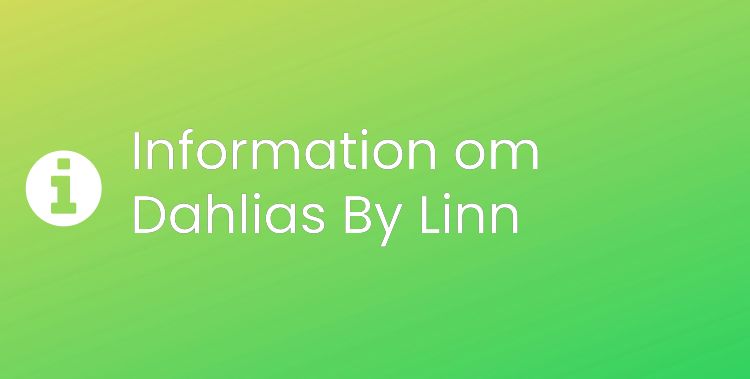 Dahlias By Linn Sektionsrubrikbild