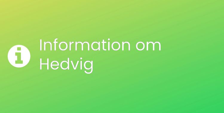 Hedvig Sektionsrubrikbild