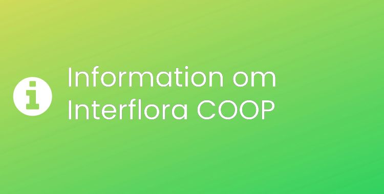 Interflora COOP Sektionsrubrikbild