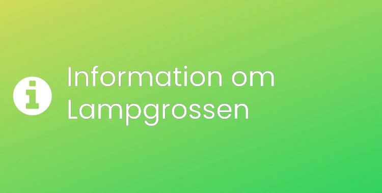 Lampgrossen Sektionsrubrikbild