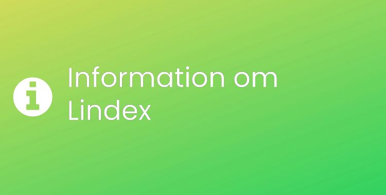 Lindex Sektionsrubrikbild