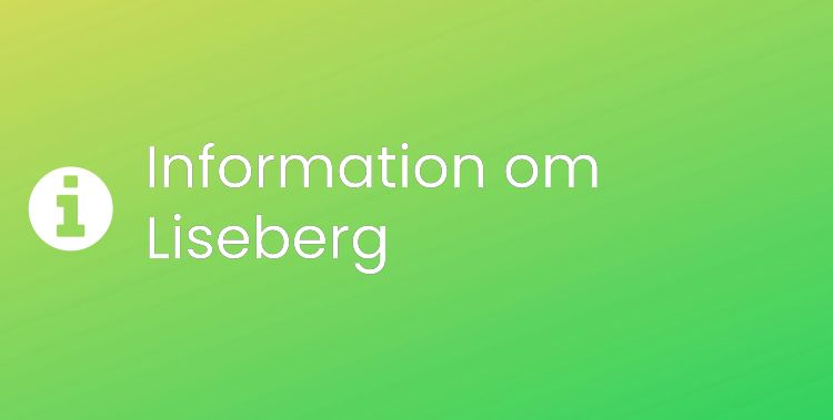 Liseberg Sektionsrubrikbild