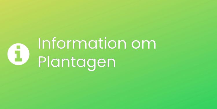 Plantagen Sektionsrubrikbild