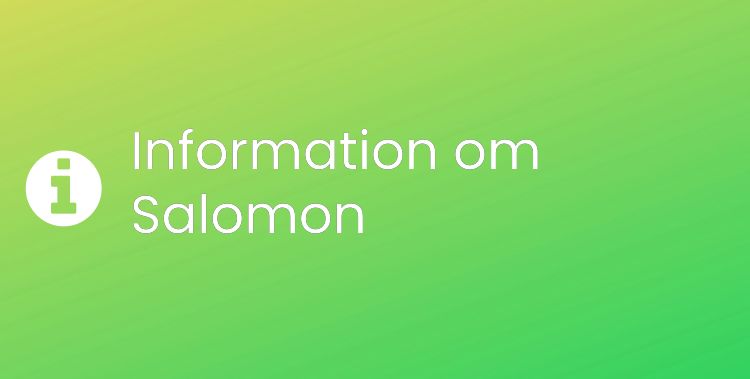Salomon Sektionsrubrikbild