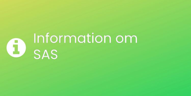 SAS Sektionsrubrikbild