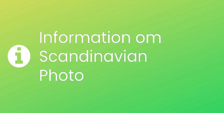 Scandinavian Photo Sektionsrubrikbild