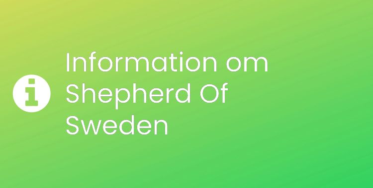 Shepherd Of Sweden Sektionsrubrikbild