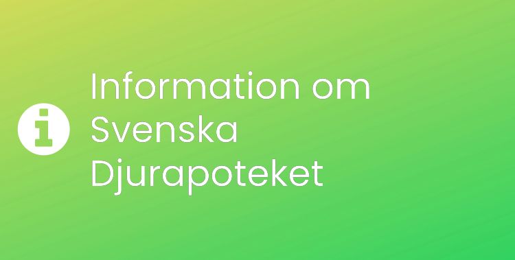 Svenska Djurapoteket Sektionsrubrikbild