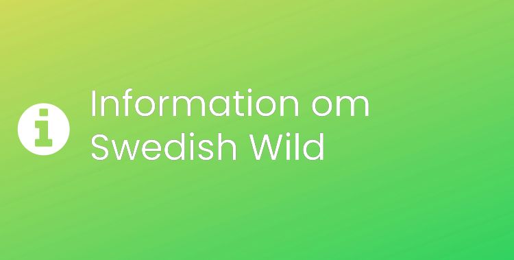 Swedish Wild Sektionsrubrikbild