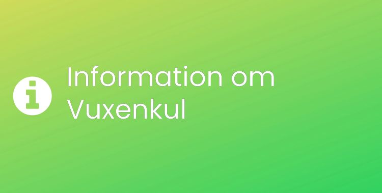 Vuxenkul Sektionsrubrikbild